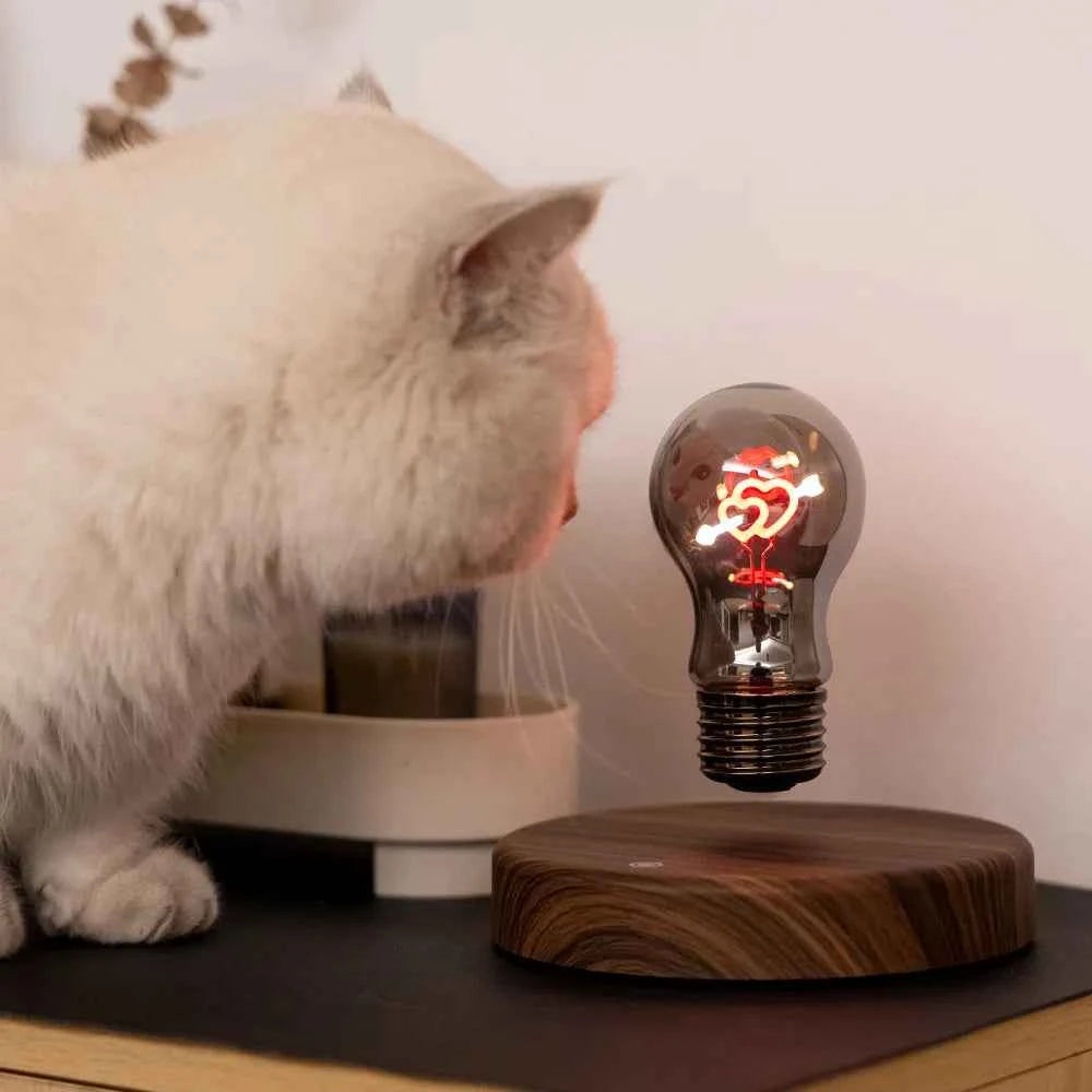 Magnetic levitating LED bulb with wooden base