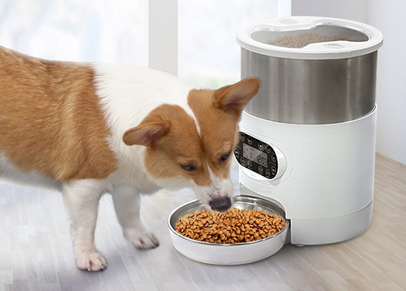 Smart Pet Feeder Automatic Food Dispenser for Cats and Dogs with App Control, Voice Recording, Timing Function, and Stainless Steel Bowl