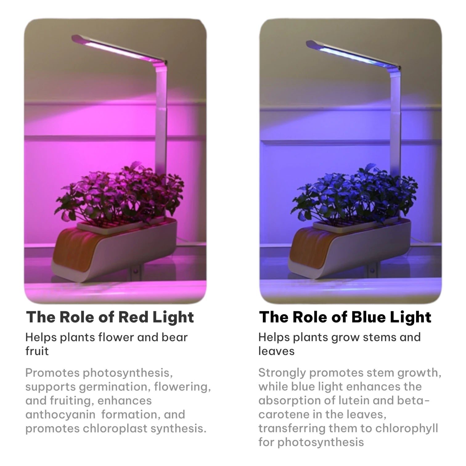 Smart Hydroponic Garden Full Spectrum LED Grow Light Adjustable Height Indoor Planter