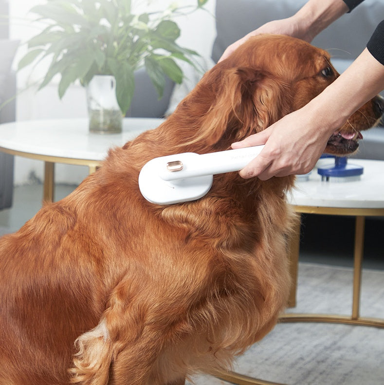 Grooming Pet Brush Self-Cleaning Brush for Cats and Dogs, Floating Hair Removal & Daily Coat Care Tool
