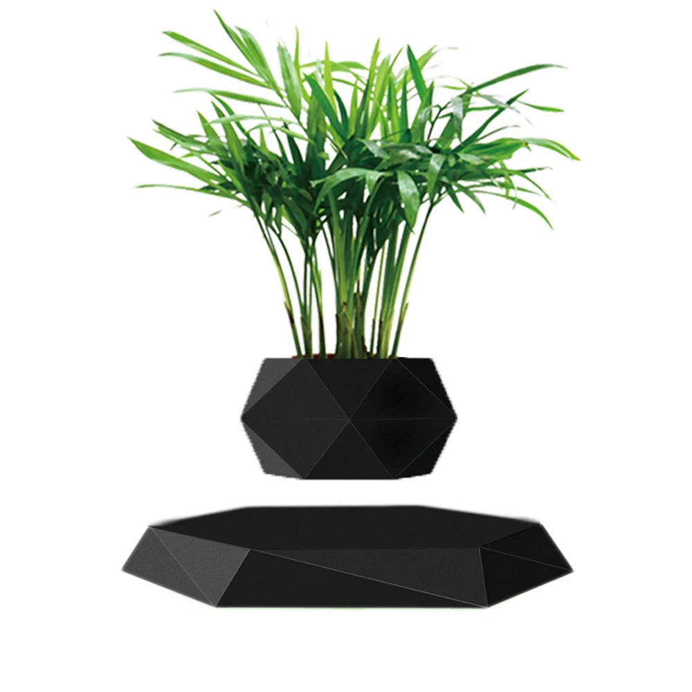 #Color=Black,Nero
