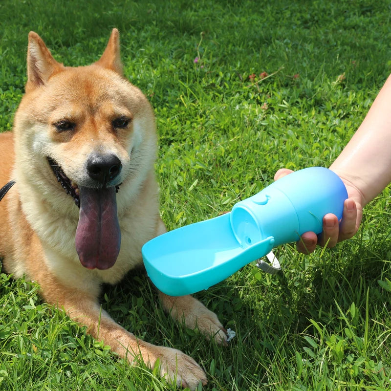 Dog Water Bottle 2 in 1 Gradient Color Outdoor Foldable 19oz Plastic Portable Pet Bowls and Feeders