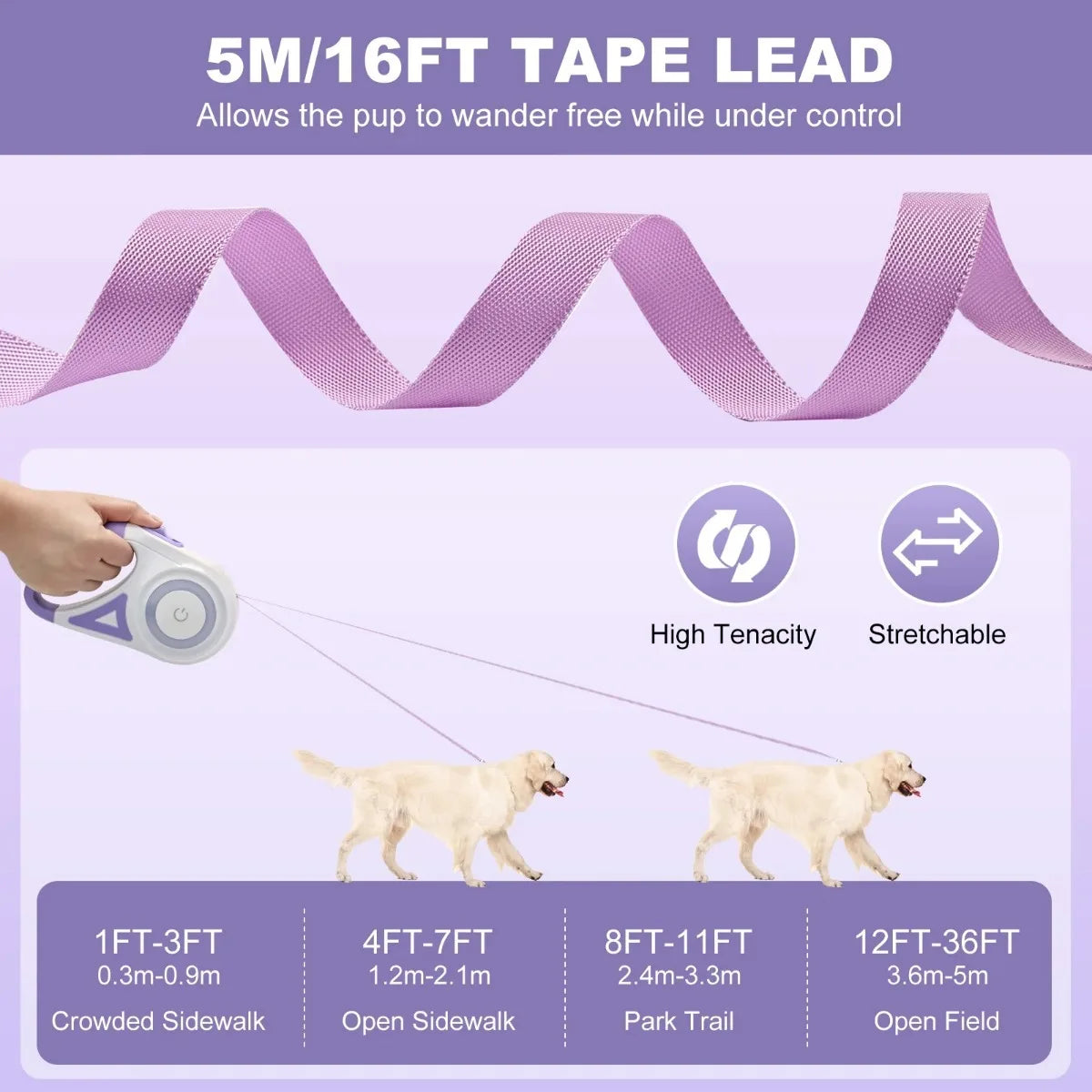 Dog Leash Retractable 3M/5M Automatic Rope with Flashlight, Anti-Slip Handle, 360° Tangle-Free, One-Button Lock for Night Walking