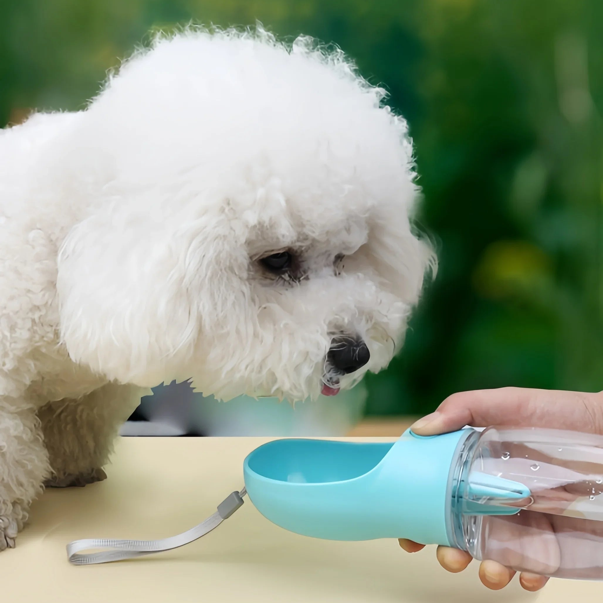 Portable Pet Bottle 550ml with Food and Water Container, Travel Feeder Bowl for Dogs and Cats, Outdoor Leak-Proof Dispenser for Puppies and Small Pets