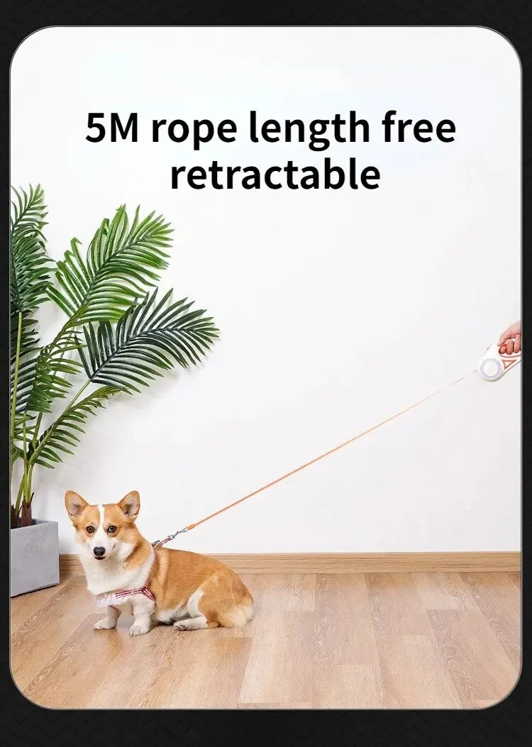 Dog Leash Retractable 3M/5M Automatic Rope with Flashlight, Anti-Slip Handle, 360° Tangle-Free, One-Button Lock for Night Walking
