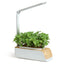 Smart LED Indoor Hydroponic Planter
