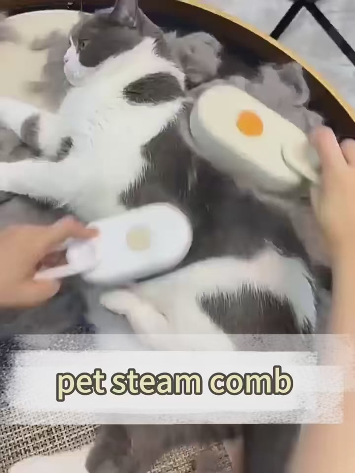 Steam Brush Cat 3in1 Pet Hair Remover, Steamy Spray Grooming Comb, Massage & Cleaning Supplies for Cats